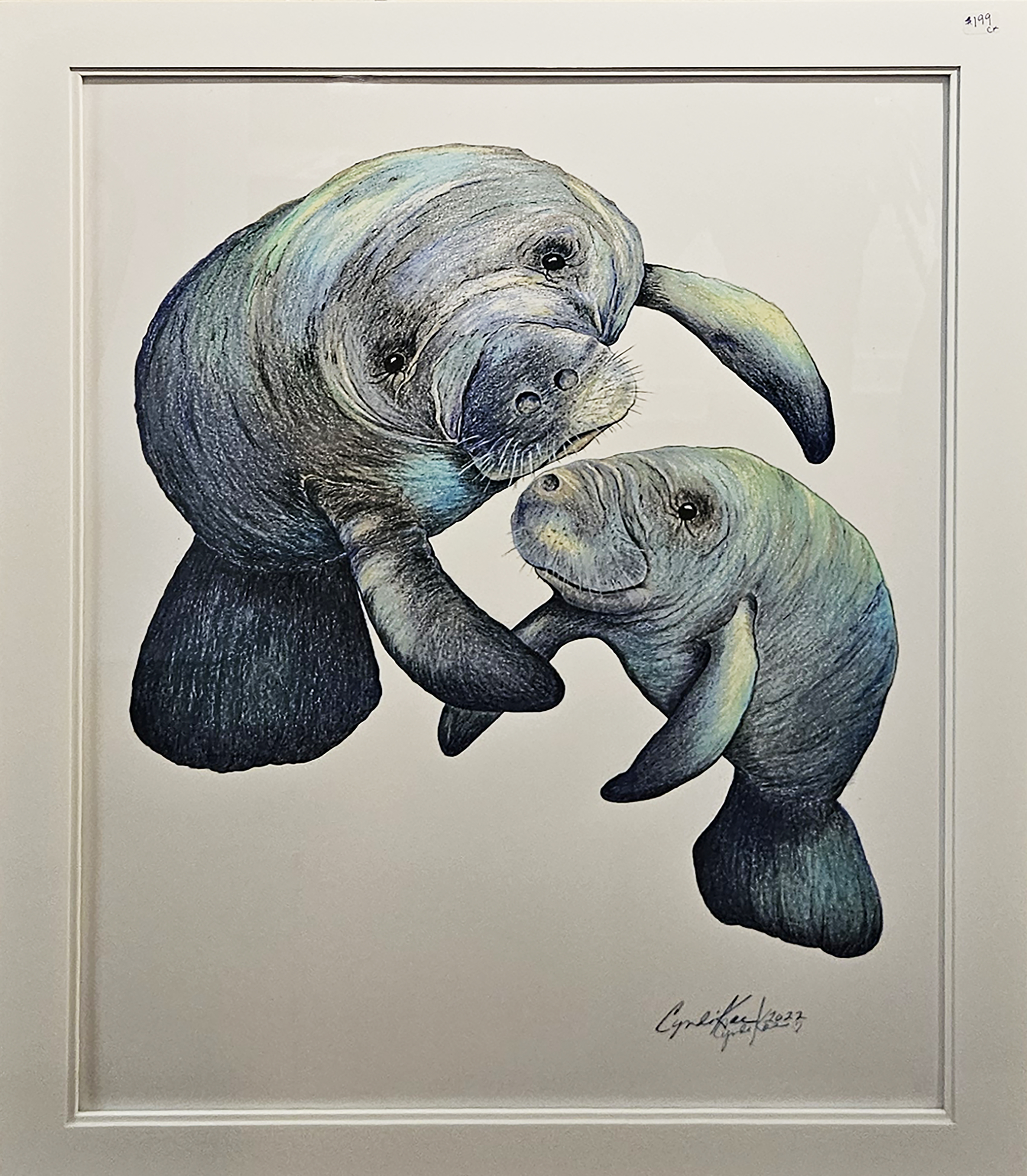 1747935516-CINDI KAE MANATEES